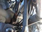 2024 KAWASAKI EX500  for sale at Copart OK - OKLAHOMA CITY