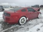 2014 Ford Mustang  for Sale in Reno, NV - Front End