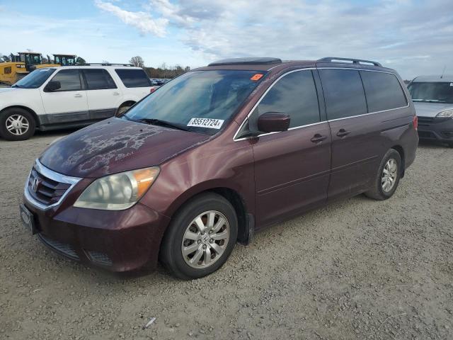 2009 Honda Odyssey Exl للبيع في Lumberton، NC - Front End