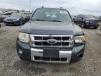 2009 Ford Escape Limited на продаже в Earlington, KY - All Over