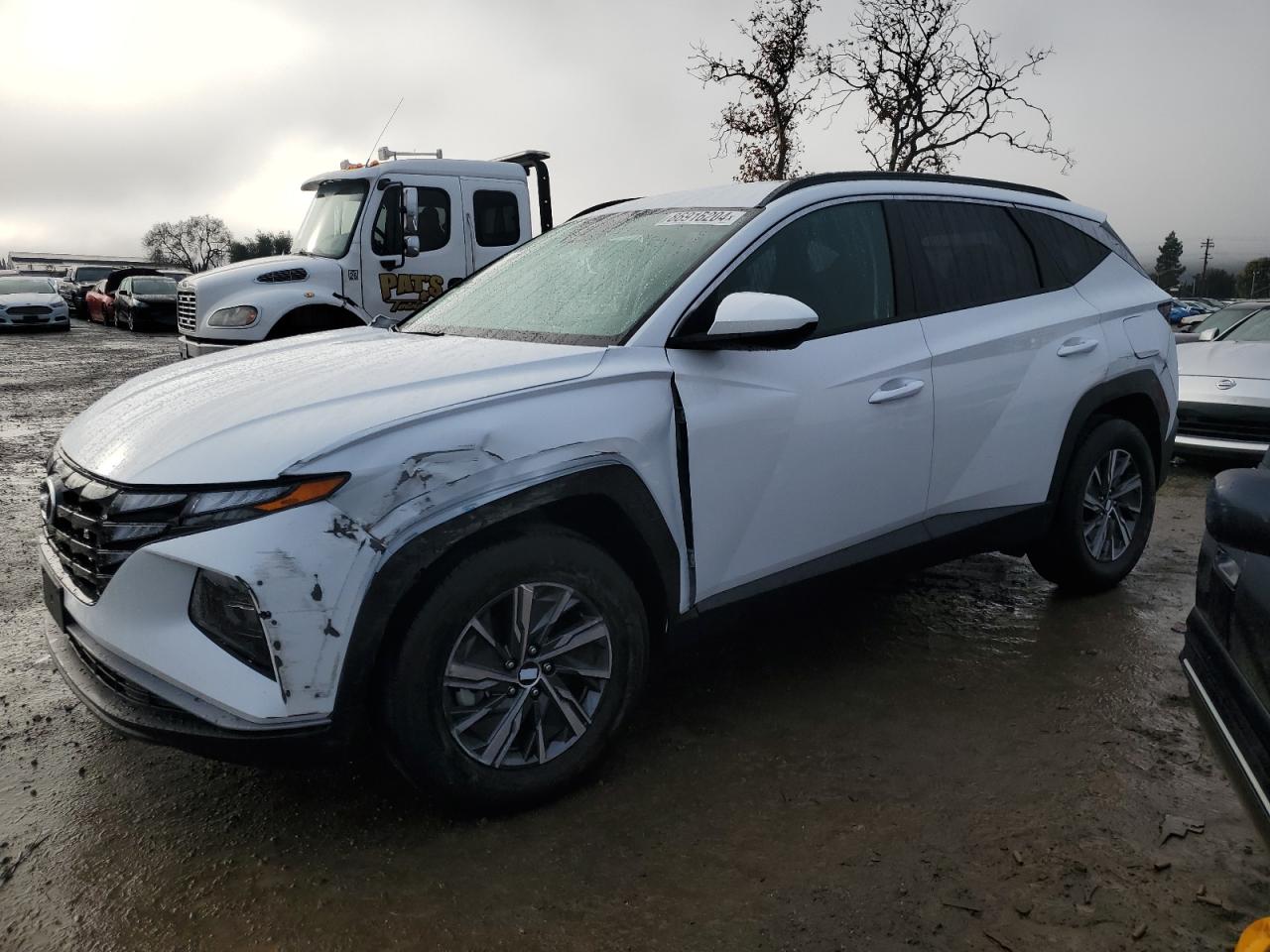 2024 Hyundai Tucson - Image 1