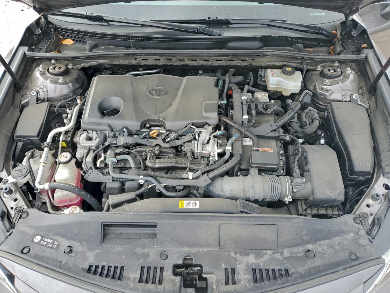 2019 Toyota Camry Hybrid VIN: 4T1B21HK0KU011814 Lot: 95781185