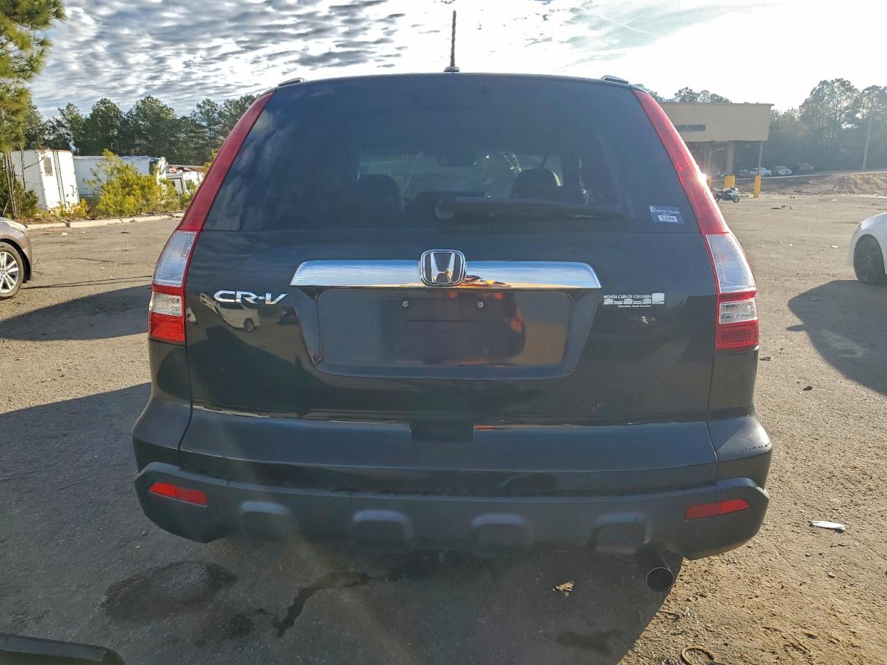 2008 Honda Cr-V Exl VIN: 5J6RE38798L003012 Lot: 96751295