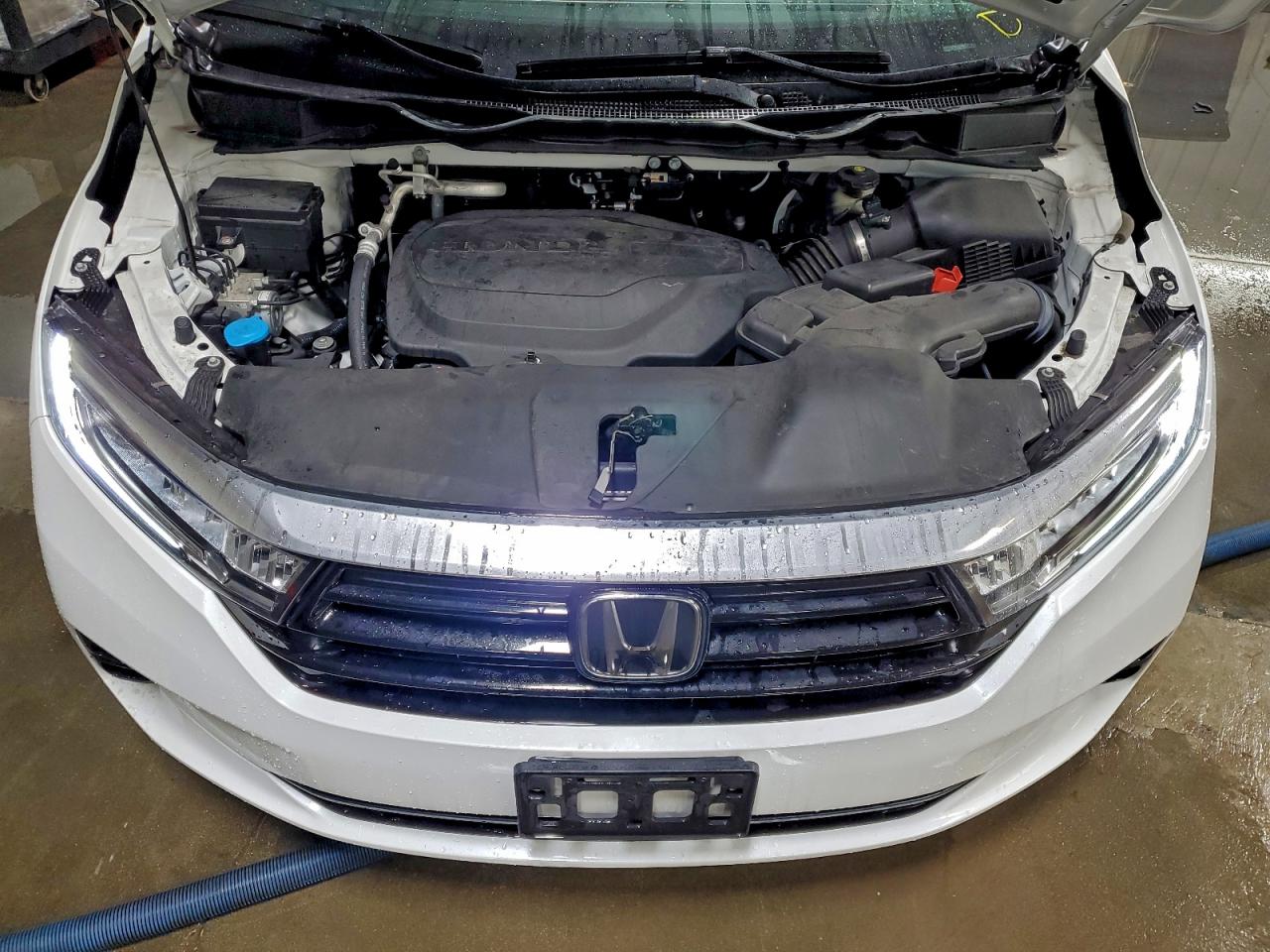 2022 Honda Odyssey Exl VIN: 5FNRL6H79NB025278 Lot: 94890475