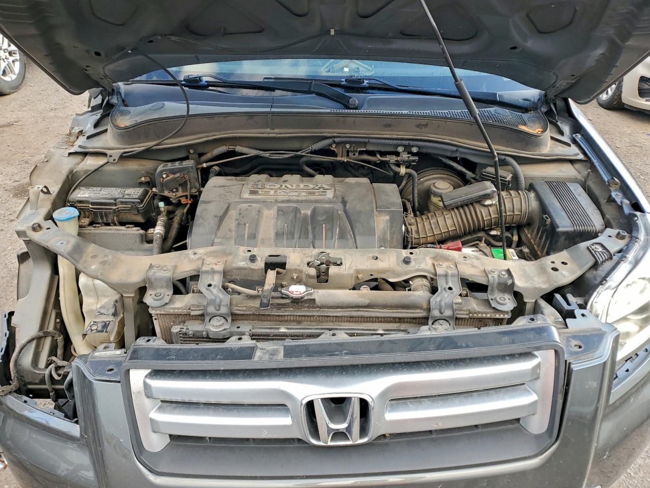 2007 Honda Pilot Ex VIN: 5FNYF28497B010462 Lot: 94818125