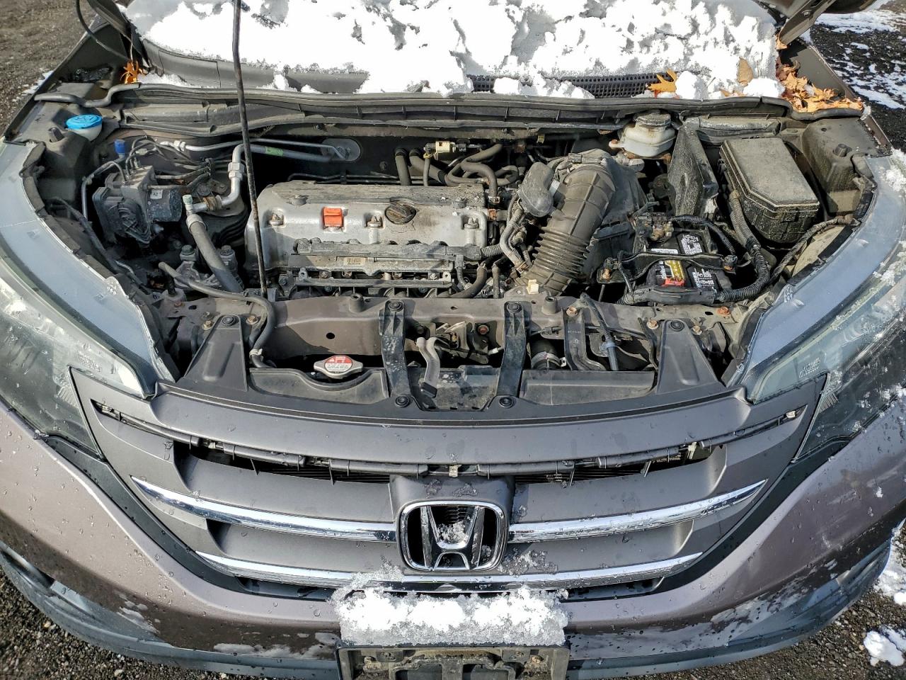 2014 Honda Cr-V Exl VIN: 2HKRM4H74EH667278 Lot: 95265235