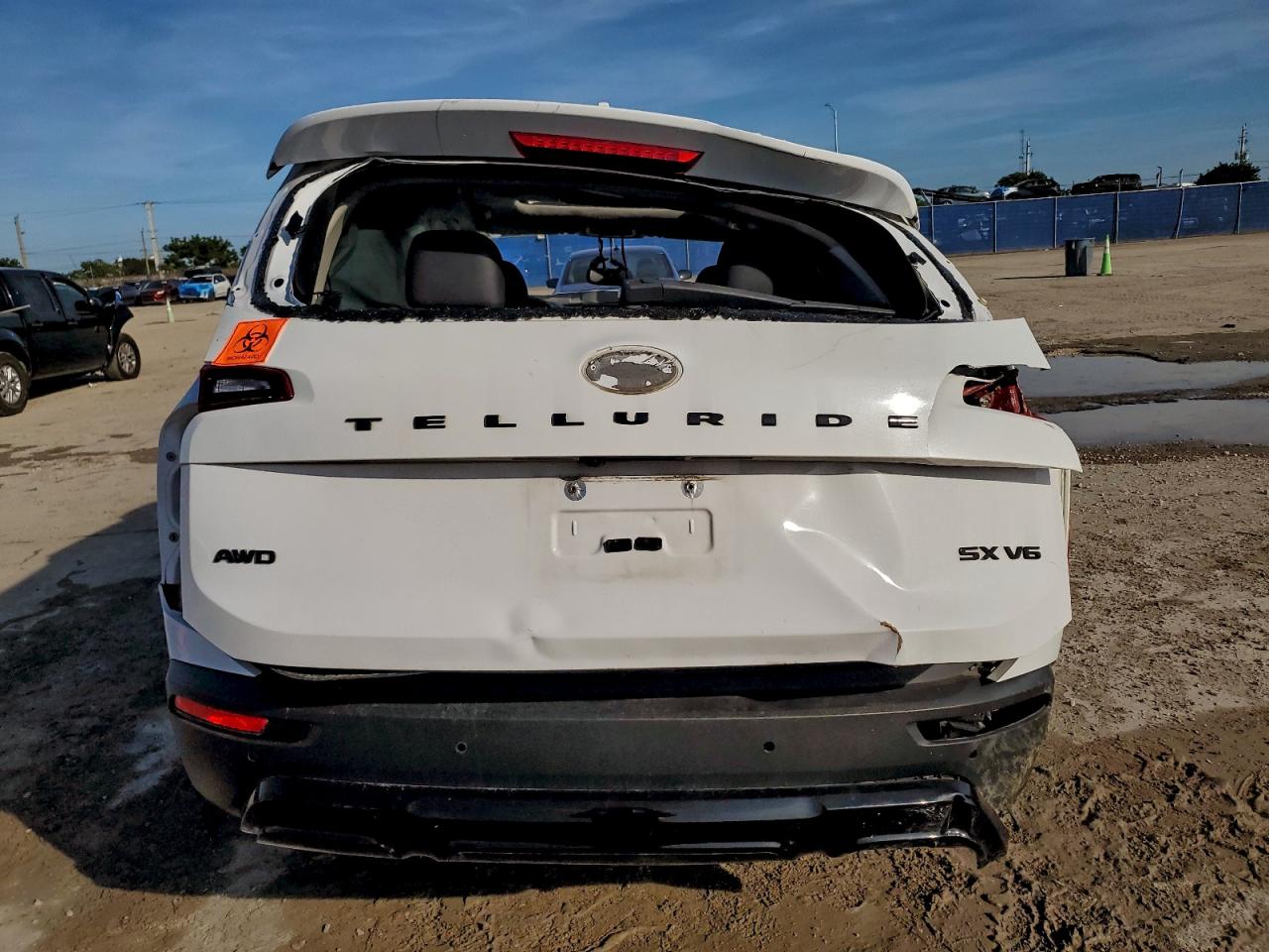 2021 Kia Telluride Sx VIN: 5XYP5DHC3MG173176 Lot: 95023135