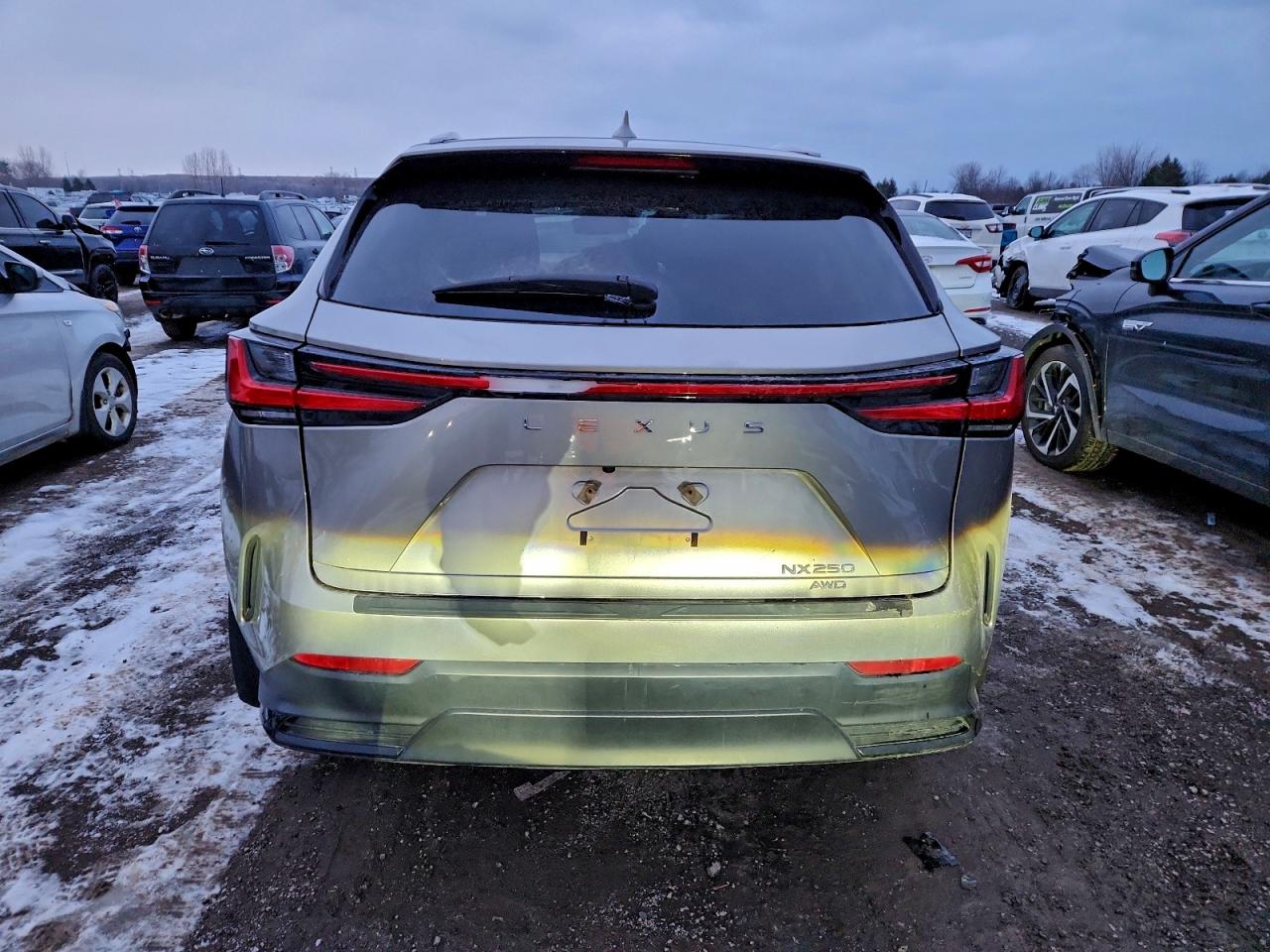 2022 Lexus Nx 250 VIN: 2T2ADCEZ2NC002584 Lot: 94442005