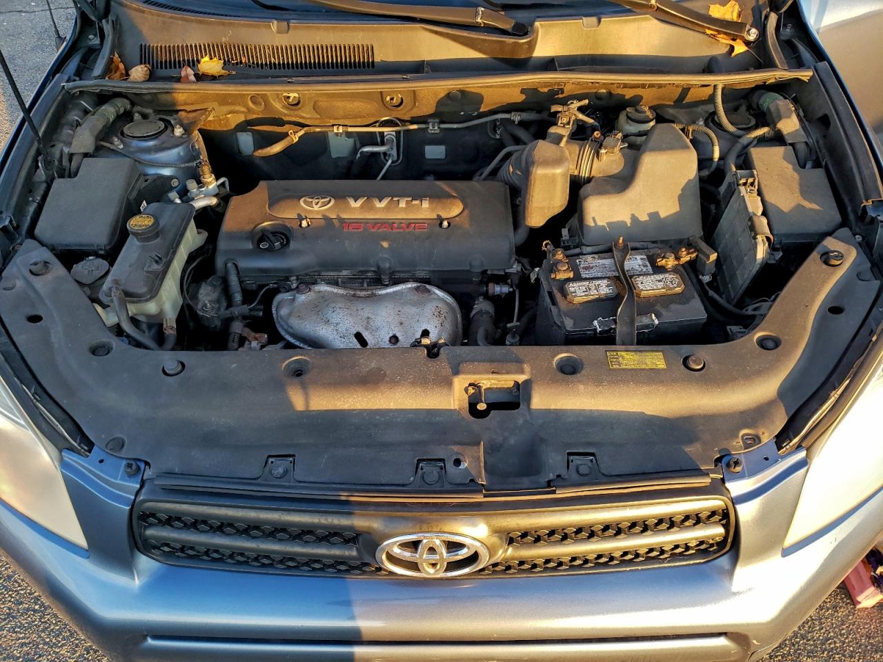 2008 Toyota Rav4 VIN: JTMBD33V185212345 Lot: 95212465