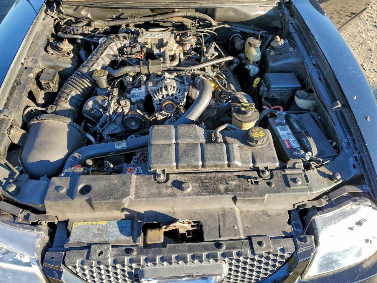 2004 Ford Mustang Gt VIN: 1FAFP42X24F115893 Lot: 95144625