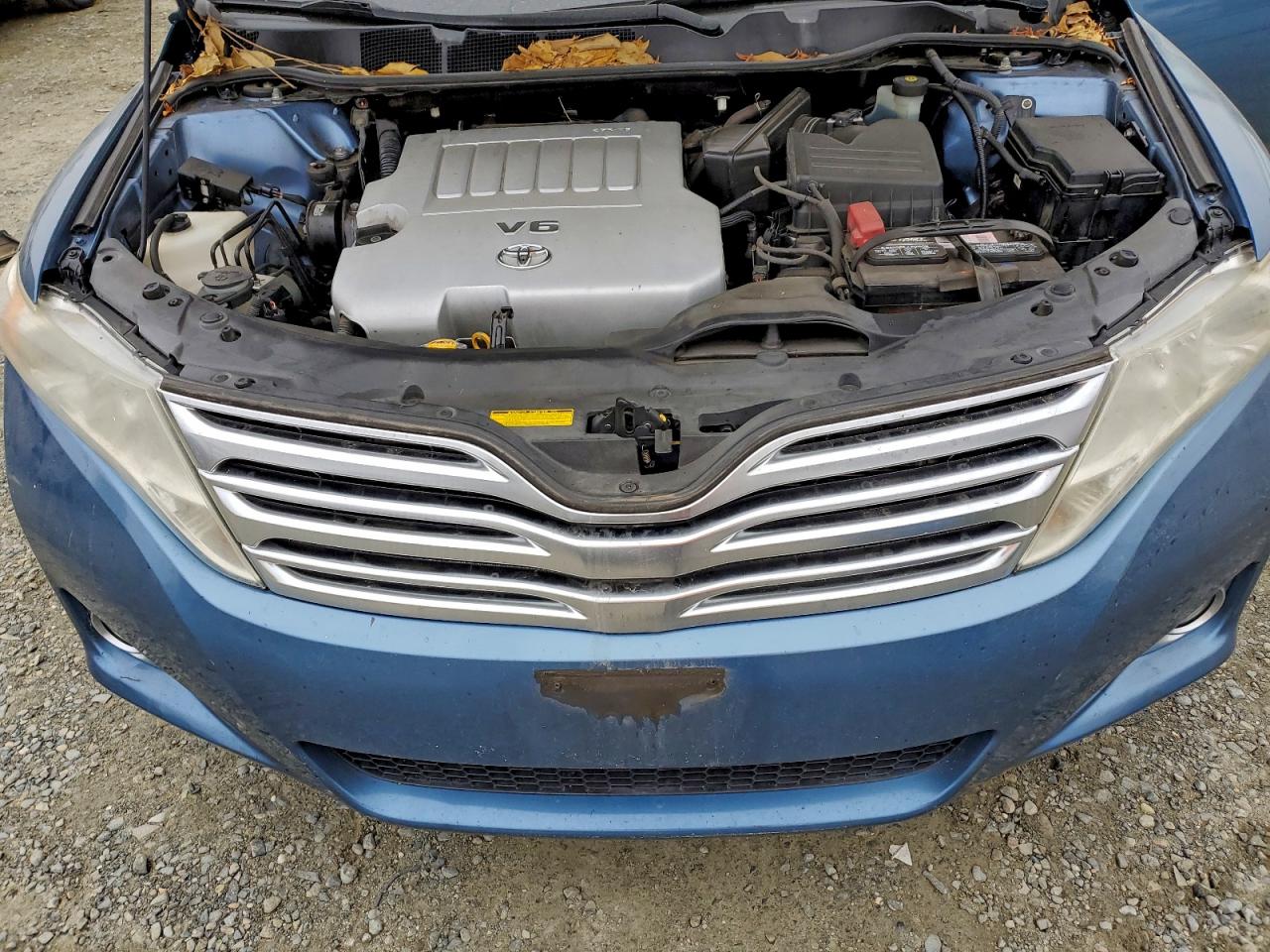 2009 Toyota Venza VIN: 4T3BK11A59U019099 Lot: 95997945