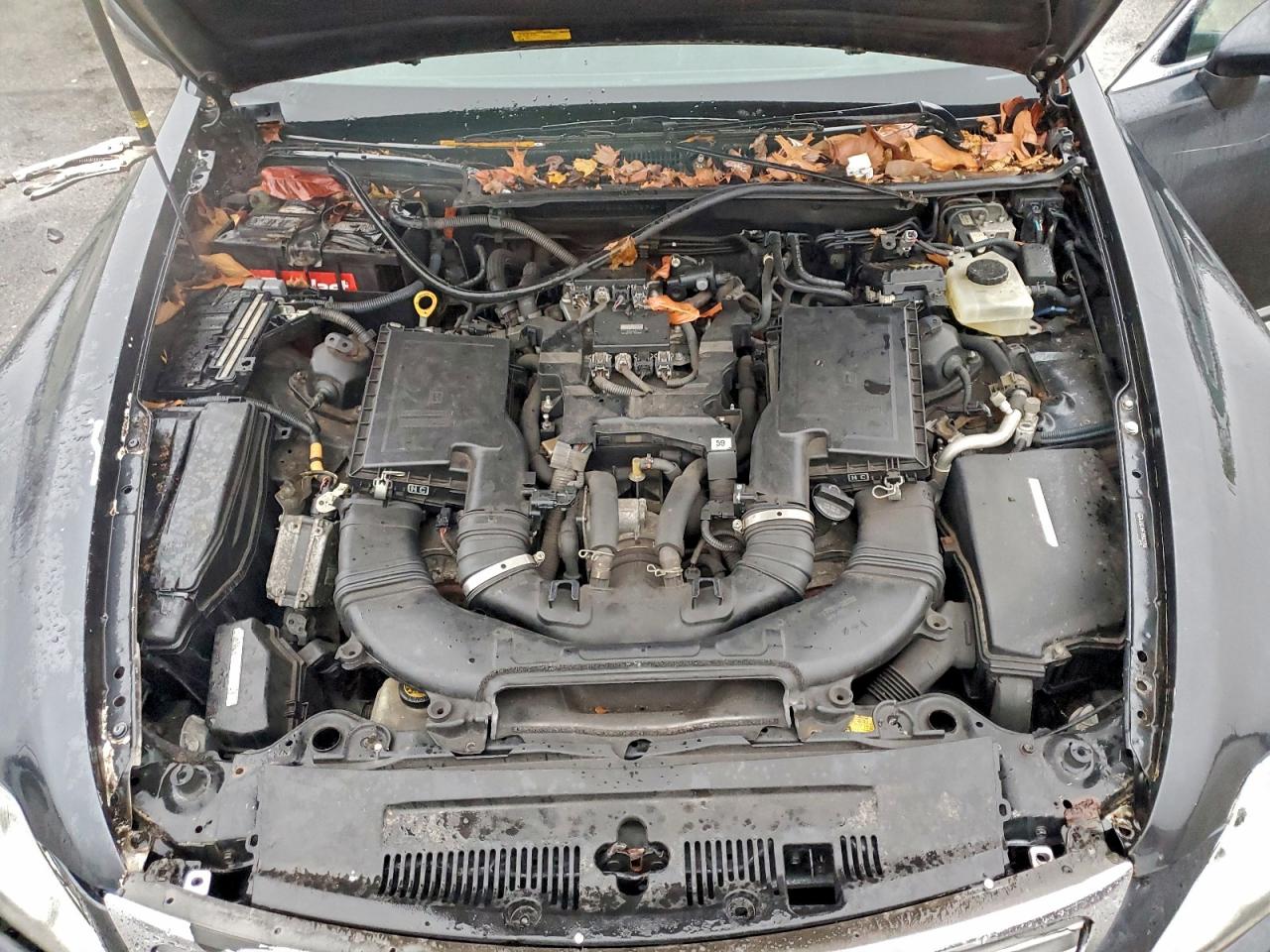 2010 Lexus Ls 460 VIN: JTHCL5EF5A5007592 Lot: 93913545