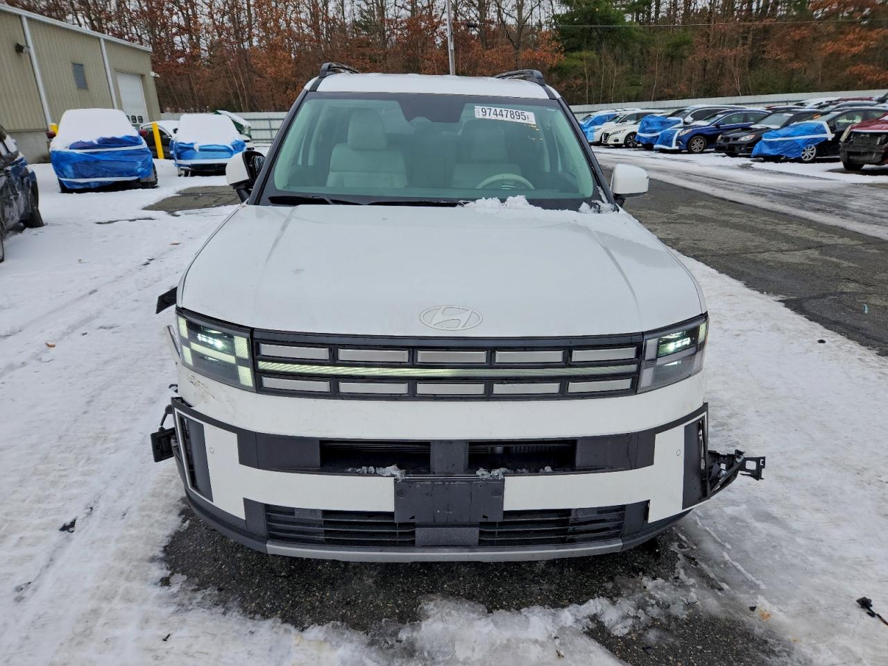 2024 Hyundai Santa Fe Sel VIN: 5NMP2DGL7RH013745 Lot: 97447895