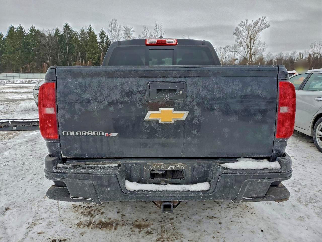 2017 Chevrolet Colorado Z71 VIN: 1GCGTDEN0H1159060 Lot: 94989665