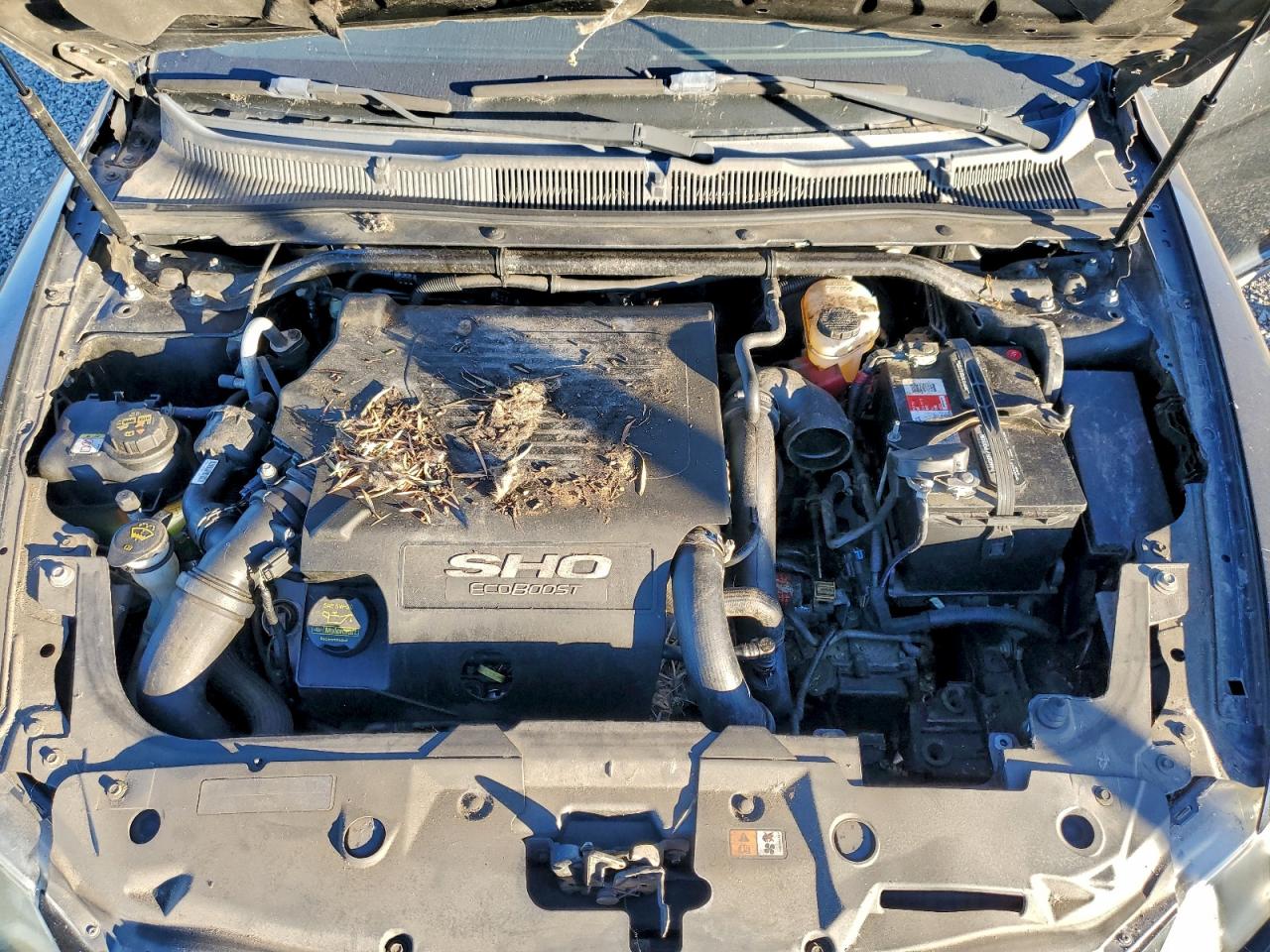 2010 Ford Taurus Sho VIN: 1FAHP2KT3AG160194 Lot: 95917835