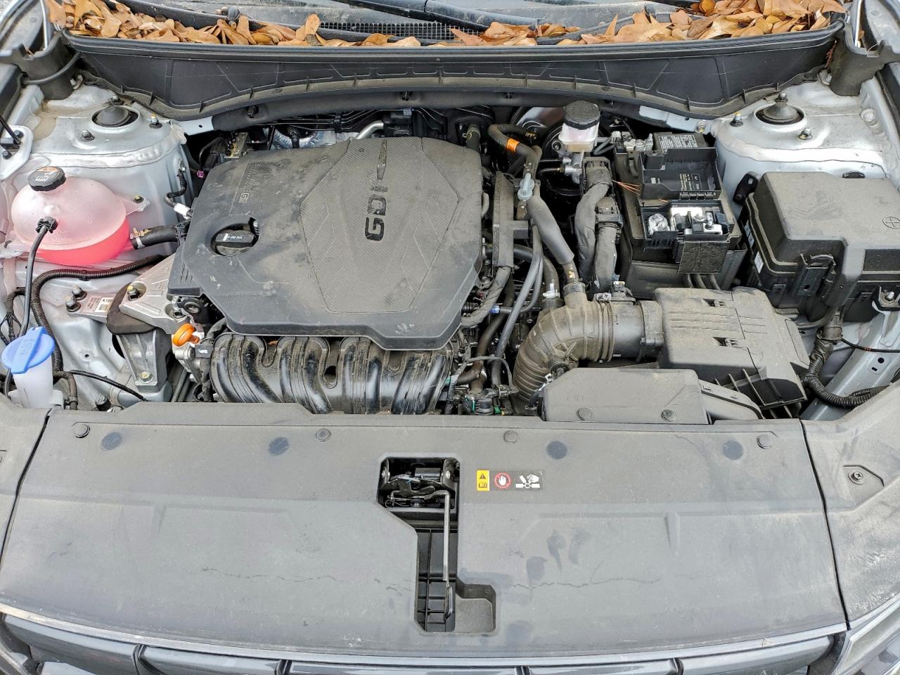 2024 Hyundai Tucson Se VIN: 5NMJA3DE1RH433896 Lot: 95937045