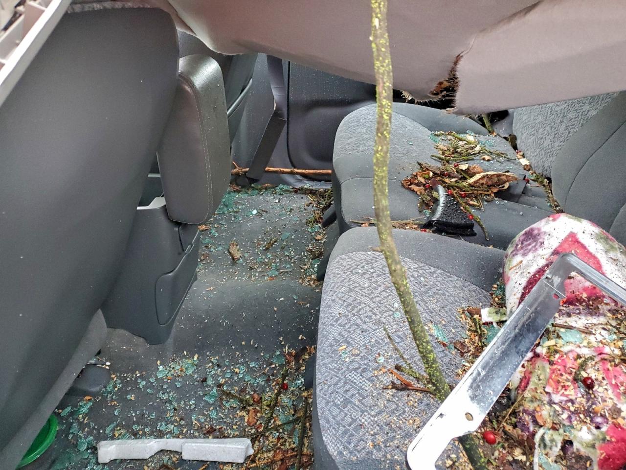 2001 Isuzu Rodeo S VIN: 4S2CK58W114345629 Lot: 98134665