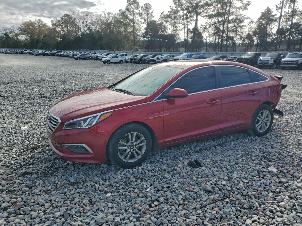 2015 Hyundai Sonata Se VIN: 5NPE24AF1FH198805 Lot: 97604105