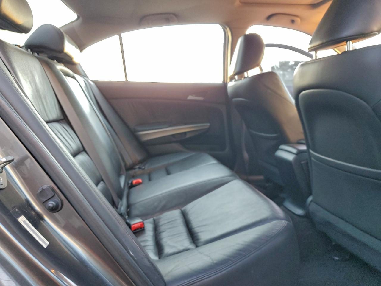 2009 Honda Accord Exl VIN: JHMCP26829C005986 Lot: 95790345