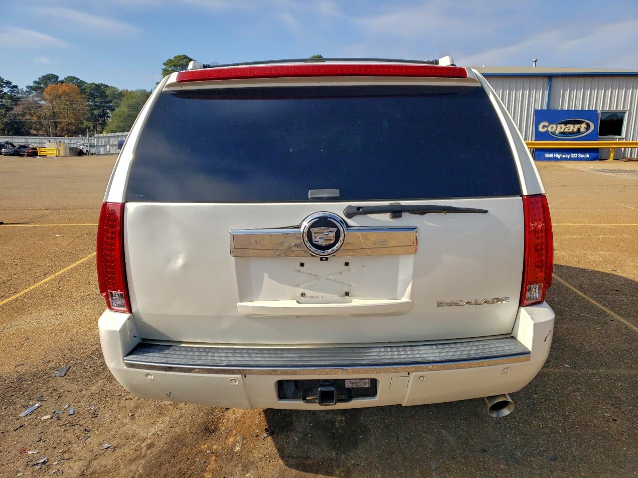 2009 Cadillac Escalade VIN: 1GYFC13249R206445 Lot: 96786825