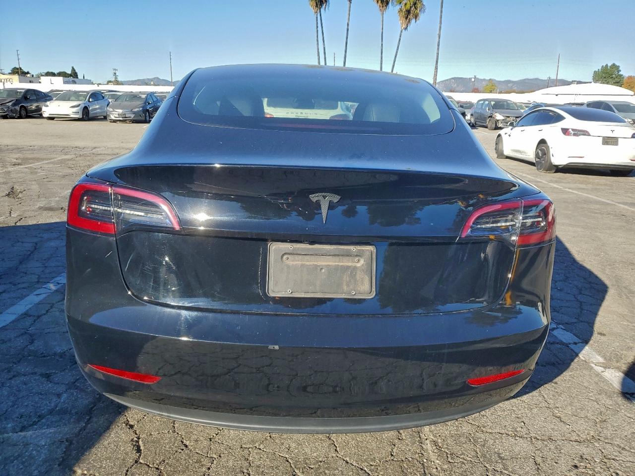 2023 Tesla Model 3 VIN: 5YJ3E1EAXPF493512 Lot: 95631245