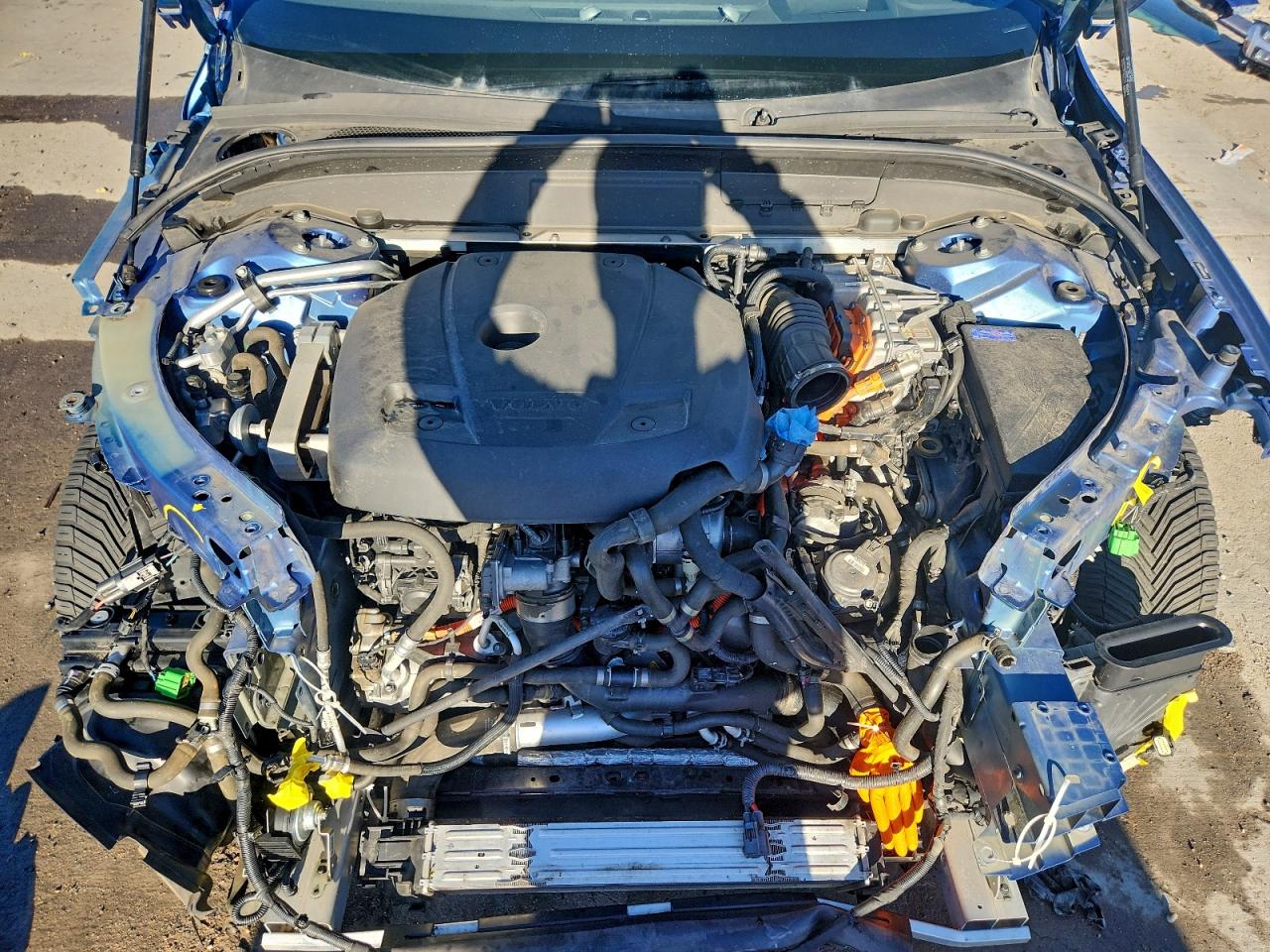 2019 Volvo Xc60 T8 R-Design VIN: LYVBR0DM3KB239091 Lot: 96373825