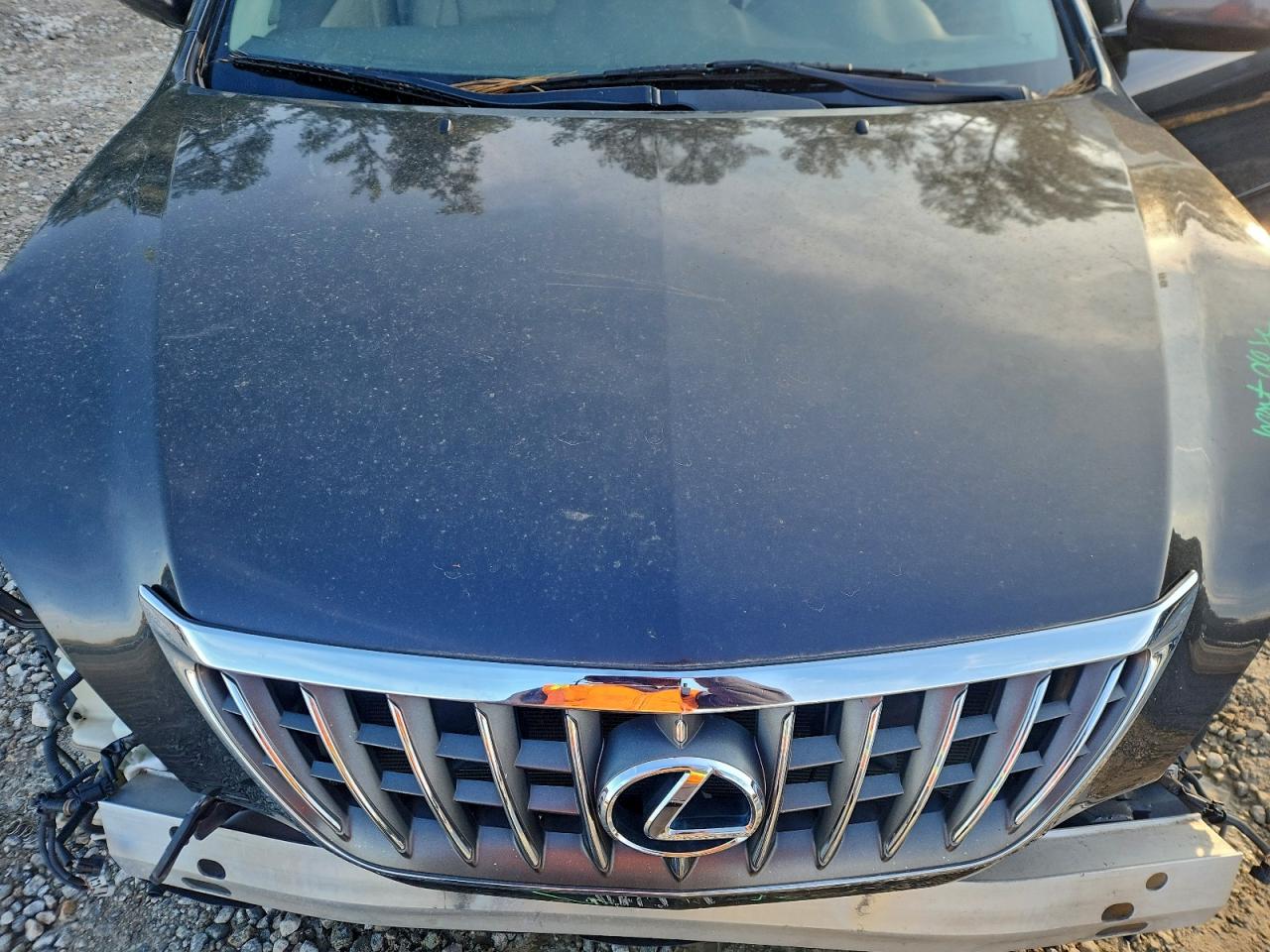 2009 Lexus Rx 350 VIN: 2T2GK31U99C071126 Lot: 95549645