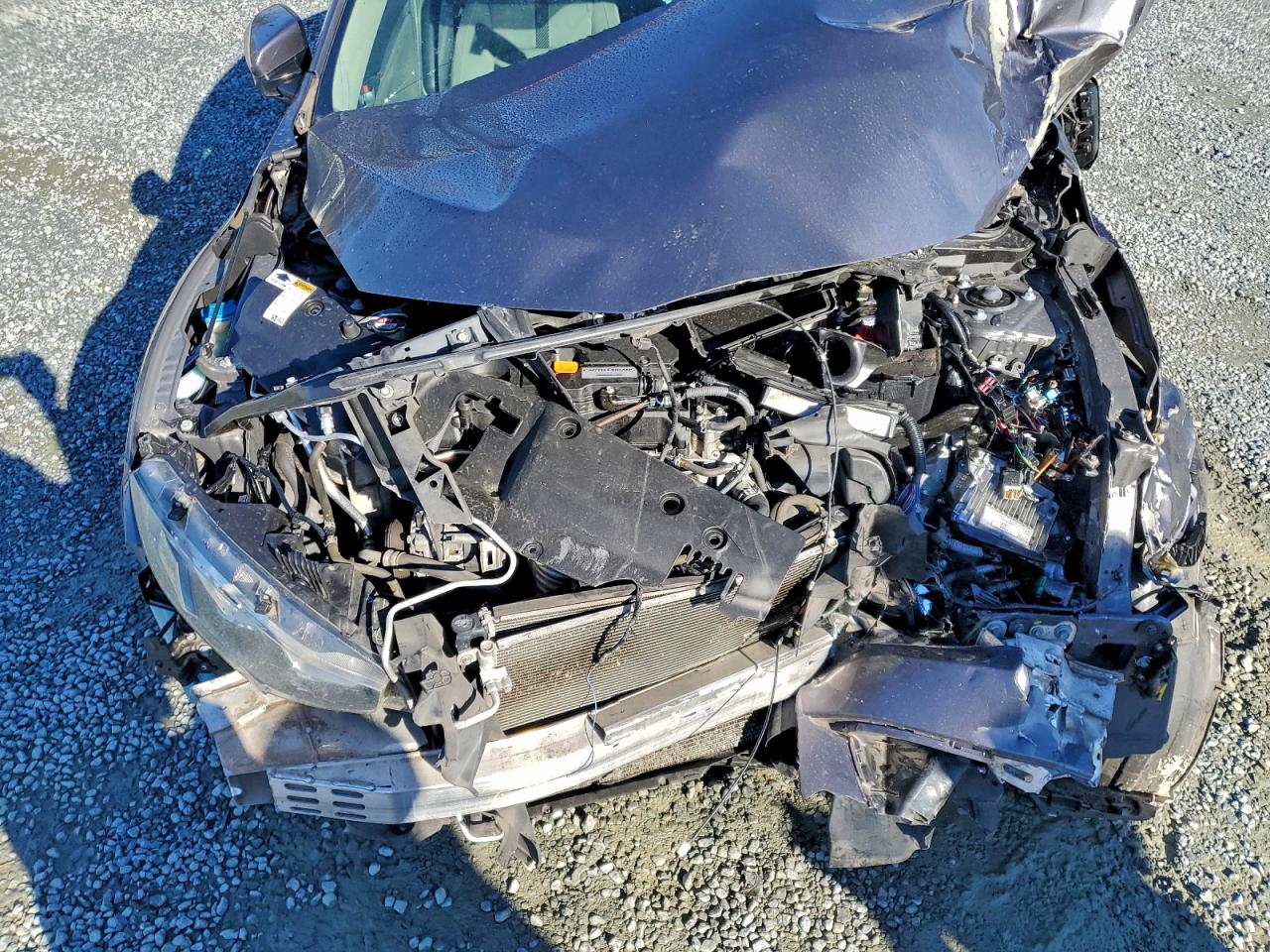 2017 Honda Civic Lx VIN: 2HGFC2F54HH501854 Lot: 95267715