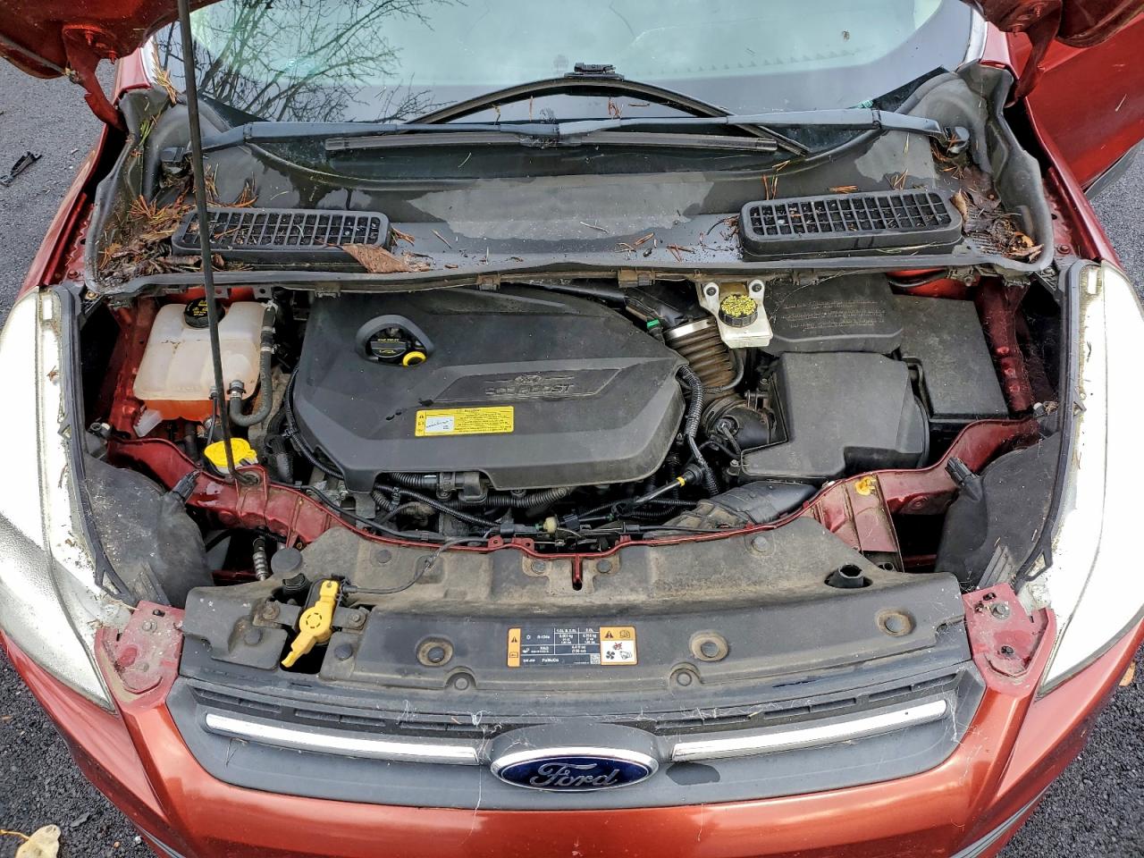 2014 Ford Escape Se VIN: 1FMCU9GX5EUB65093 Lot: 97853805