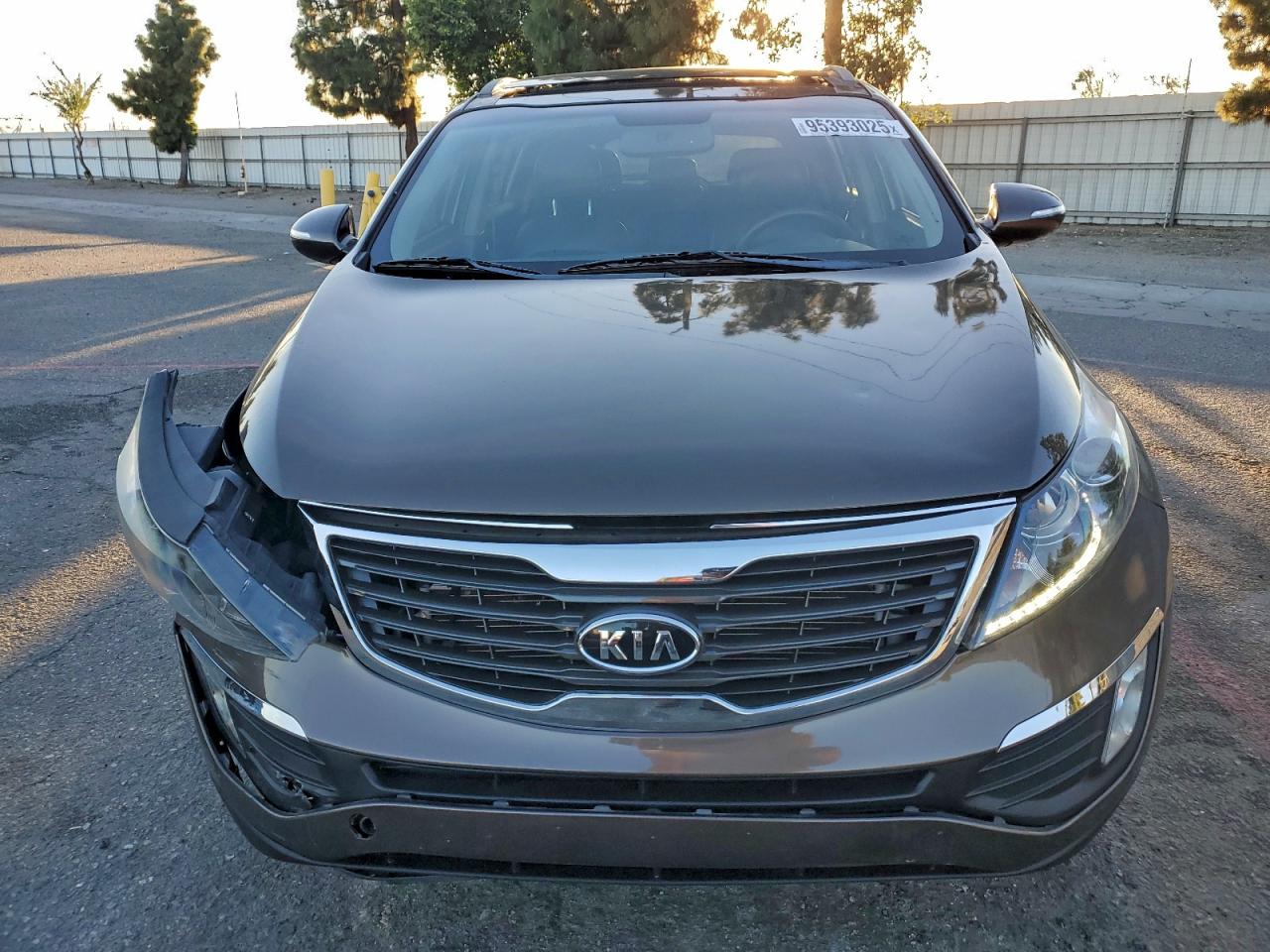 2012 Kia Sportage Ex VIN: KNDPC3A20C7303007 Lot: 95393025