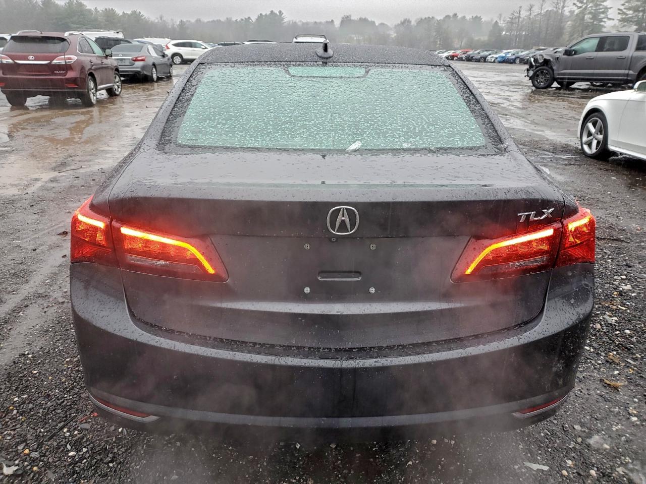 Фото: 19UUB2F56FA007453