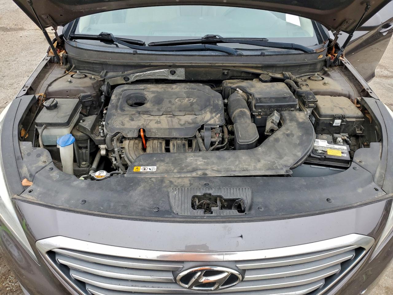 2016 Hyundai Sonata Se VIN: 5NPE24AF0GH339428 Lot: 94803785