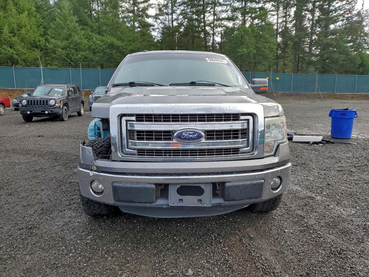 2013 Ford F150 Supercrew VIN: 1FTFW1CF9DKE86493 Lot: 96644335