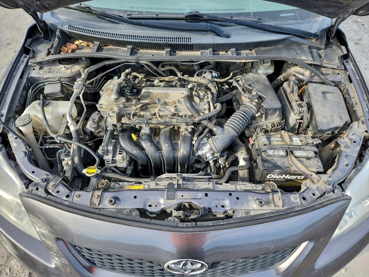 2009 Toyota Corolla Base VIN: JTDBL40E09J025149 Lot: 95989915