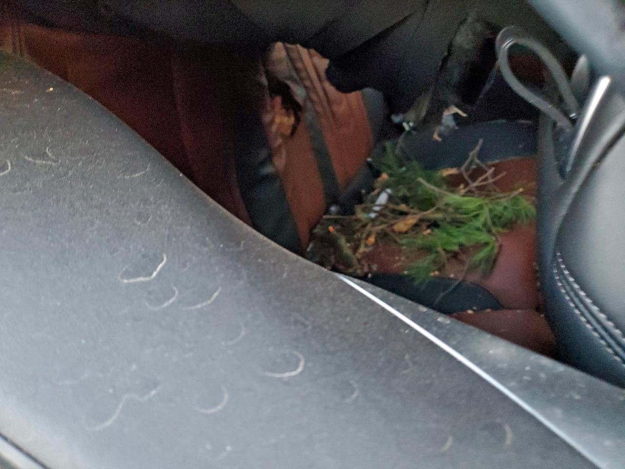 2020 BMW 840Xi VIN: WBADZ4C06LBP67982 Lot: 94835295