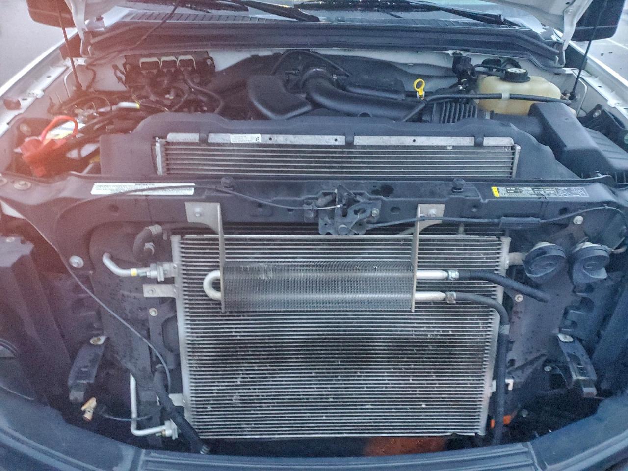 2008 Ford F250 Super Duty VIN: 1FTSX20588EB61030 Lot: 96198735