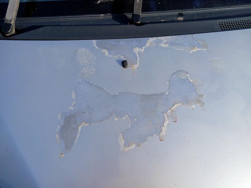 2005 MITSUBISHI COLT 1.3 EQUIPPE 5DR