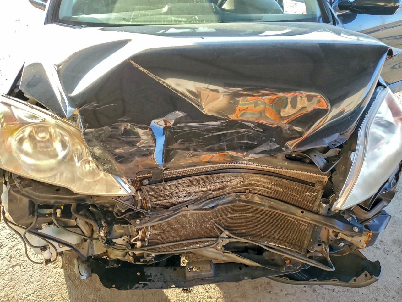 2007 Honda Cr-V Exl VIN: JHLRE38717C030454 Lot: 95466305