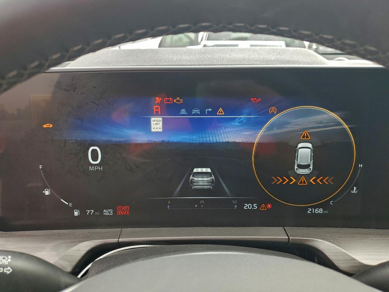 2025 Kia Telluride Sx VIN: 5XYP5DGC1SG666949 Lot: 96313955