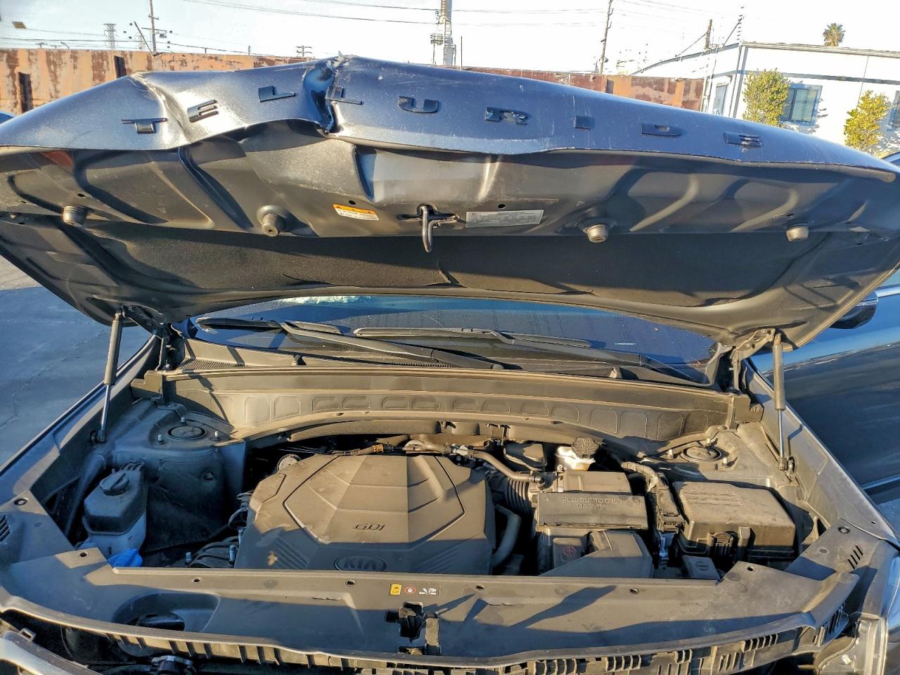 2021 Kia Telluride Sx VIN: 5XYP5DHC1MG096582 Lot: 94930885