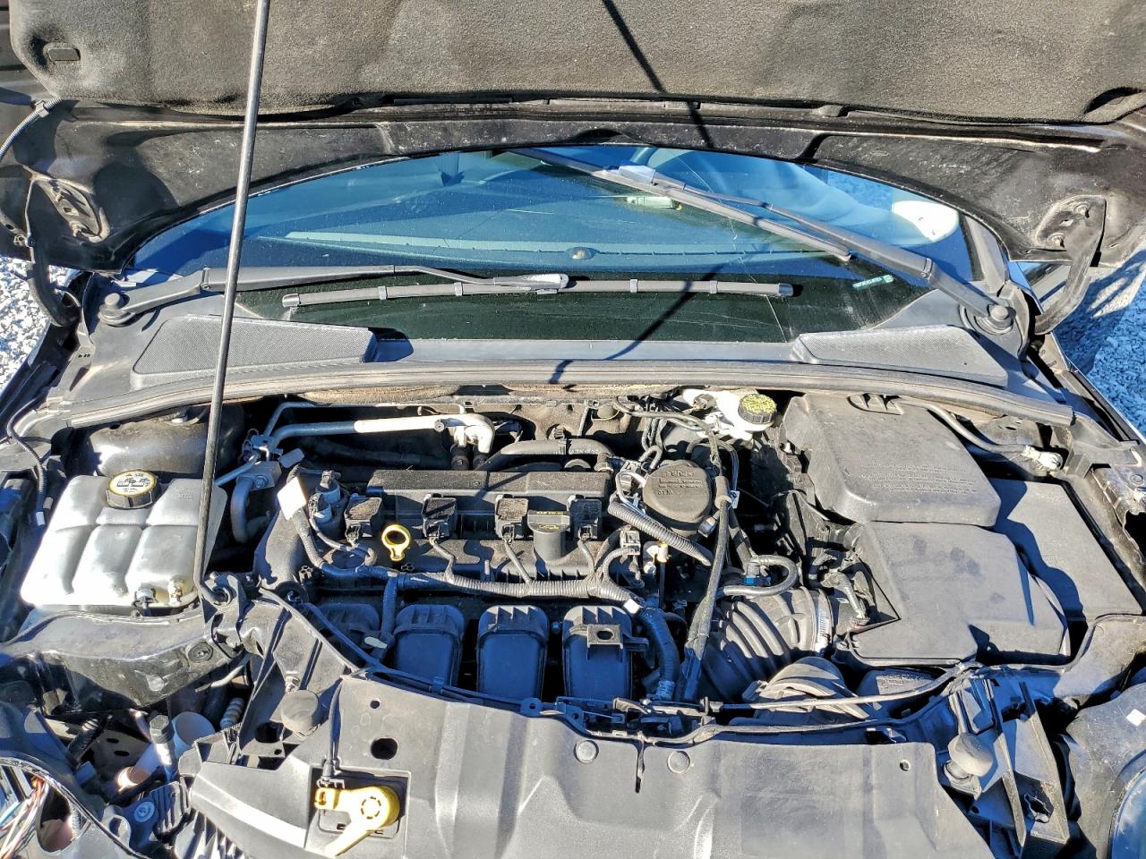 2012 Ford Focus Titanium VIN: 1FAHP3N24CL407824 Lot: 94907065