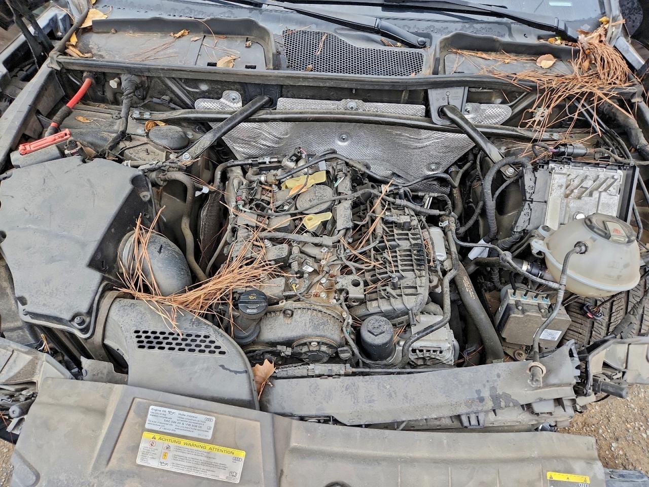 2019 Audi Q5 Premium Plus VIN: WA1BNAFYXK2102579 Lot: 97499985