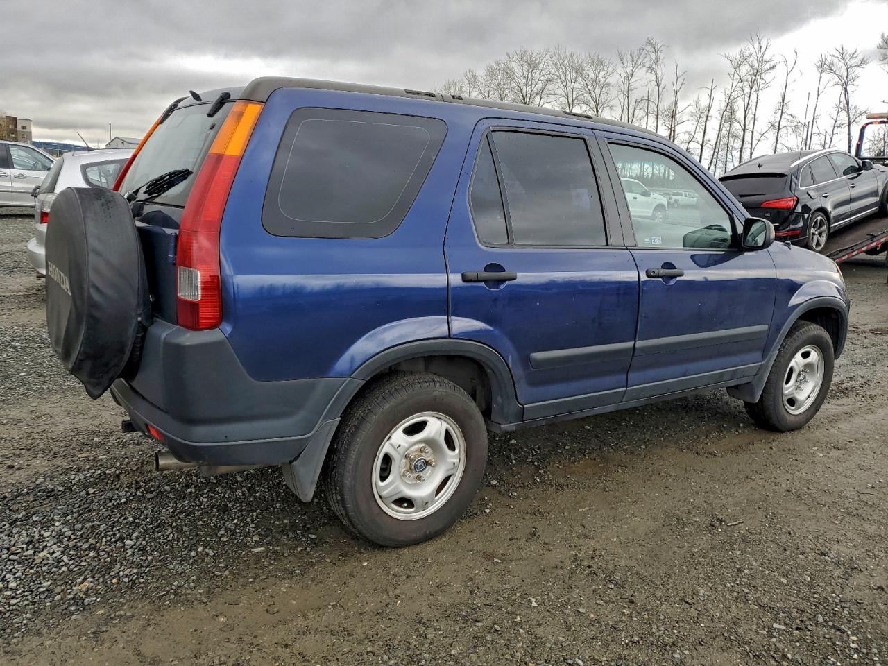 2003 Honda Cr-V Lx VIN: JHLRD78493C021334 Lot: 96811885