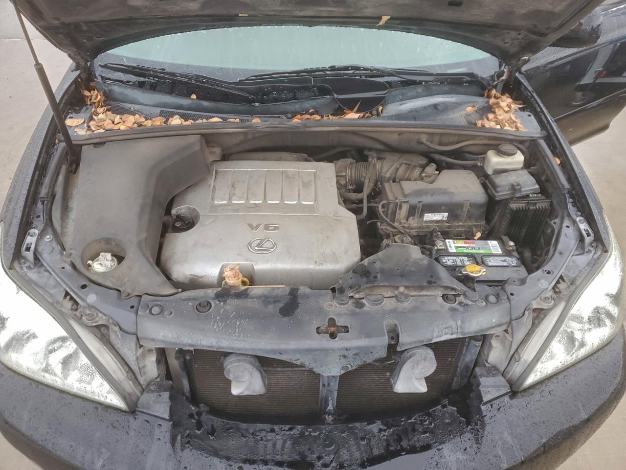 2007 Lexus Rx 350 VIN: 2T2GK31U17C003660 Lot: 94748745