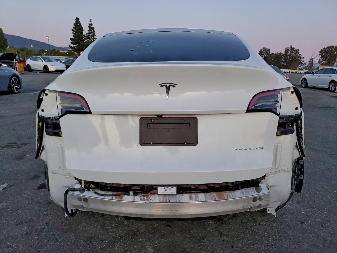 2024 Tesla Model Y VIN: 7SAYGDEE5RF079225 Lot: 94794855