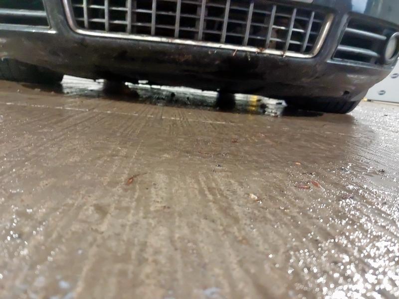 2005 AUDI A4 S4 QUATTRO 2DR