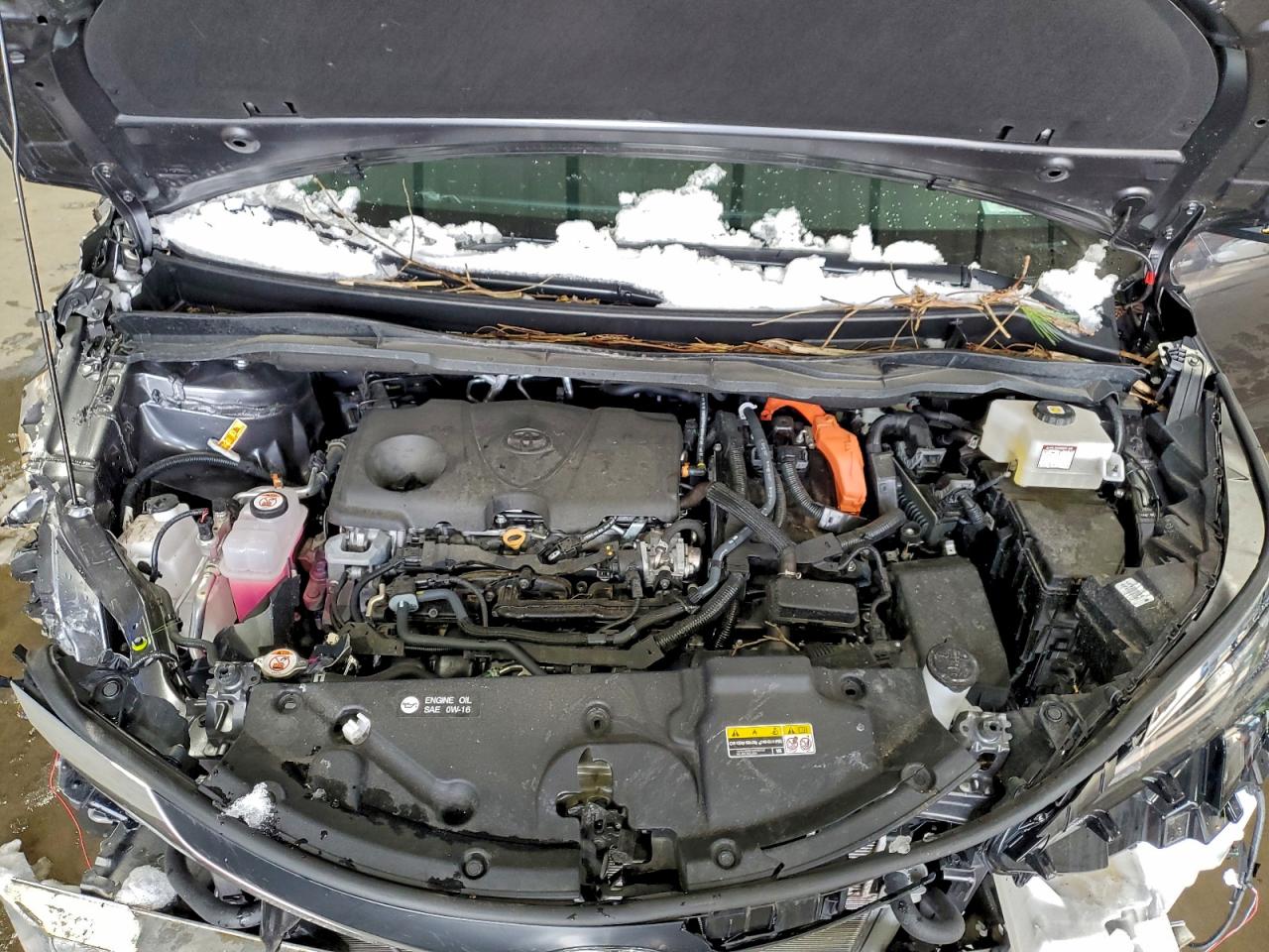 2025 Toyota Sienna Xle VIN: 5TDJSKFC9SS166142 Lot: 94193165