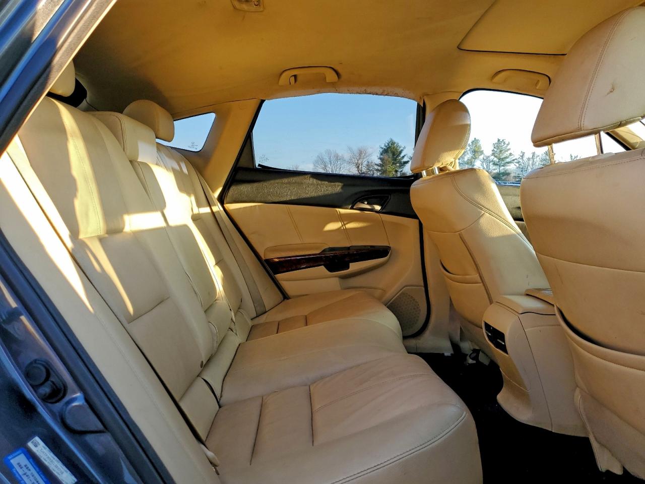 2012 Honda Crosstour Exl VIN: 5J6TF1H53CL005756 Lot: 95698945