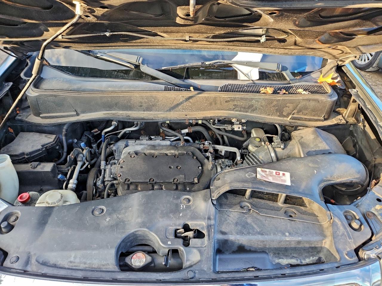 2009 Honda Pilot Exl VIN: 5FNYF48539B041522 Lot: 94746075