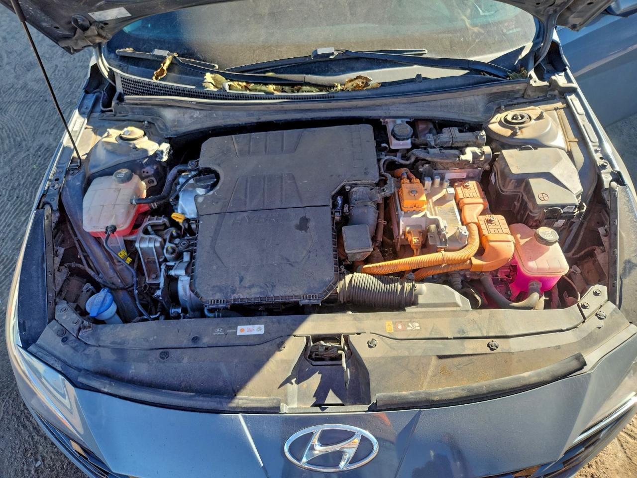 2022 Hyundai Elantra Limited VIN: KMHLN4AJ1NU022498 Lot: 96562275